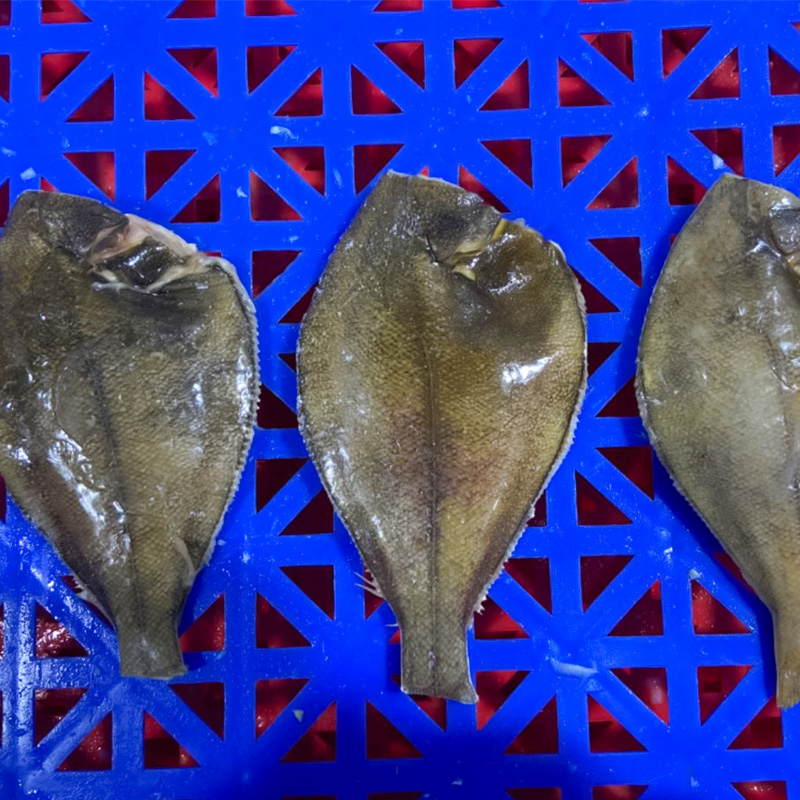 一枚切---小切
